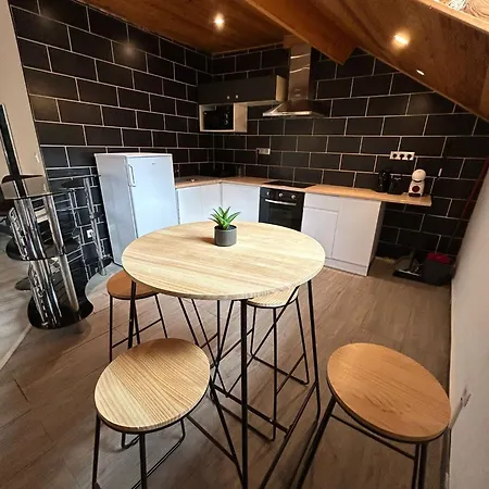 Au Pied Du Chateau T3 * לורדה