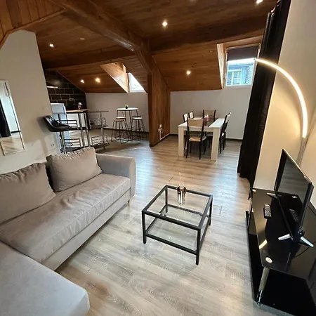 Au Pied Du Chateau T3 公寓 *